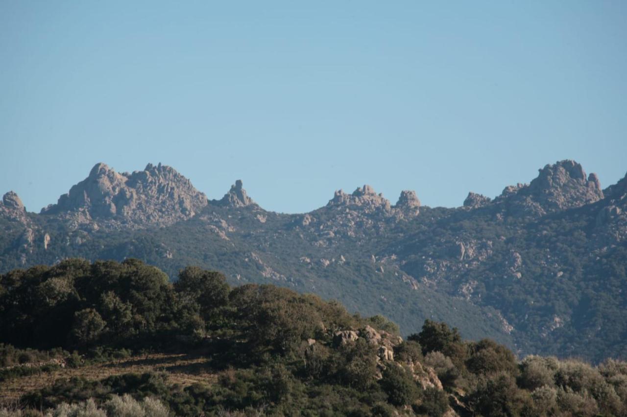 Oliver'S House Sardinia Διαμέρισμα Flumini di Quartu Εξωτερικό φωτογραφία